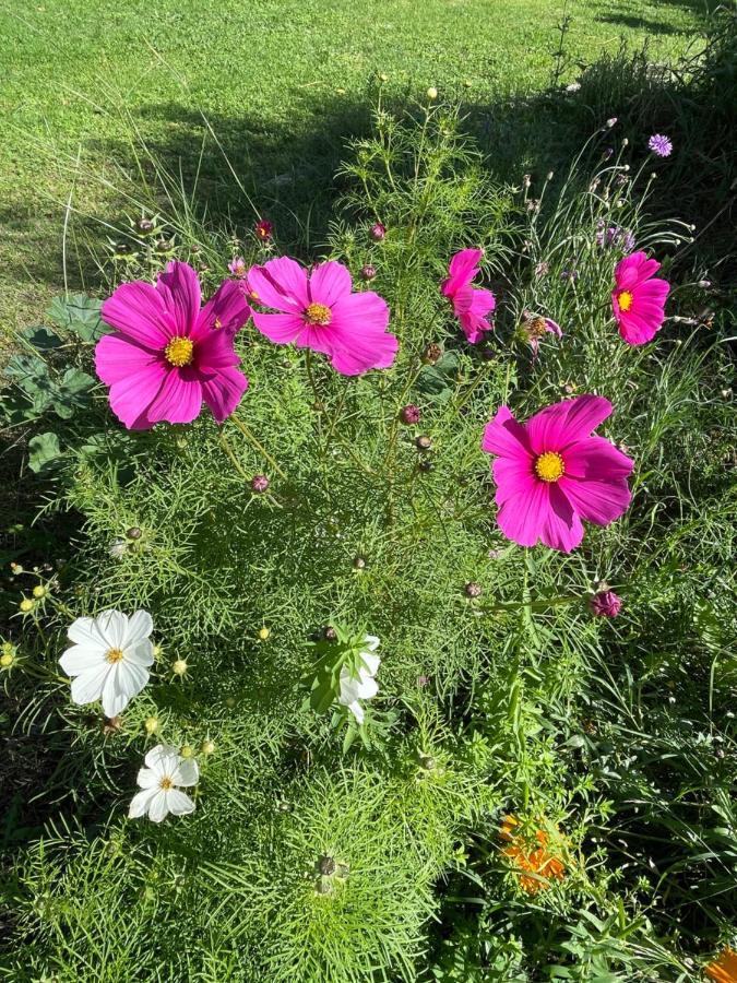 Fuvolea, Maison De Vacances A 15 Min Du Centre D'Aix-En-Provence, Piscine Chauffee En Saison - Jardin - Parking Prive Gratuit Fuveau Εξωτερικό φωτογραφία
