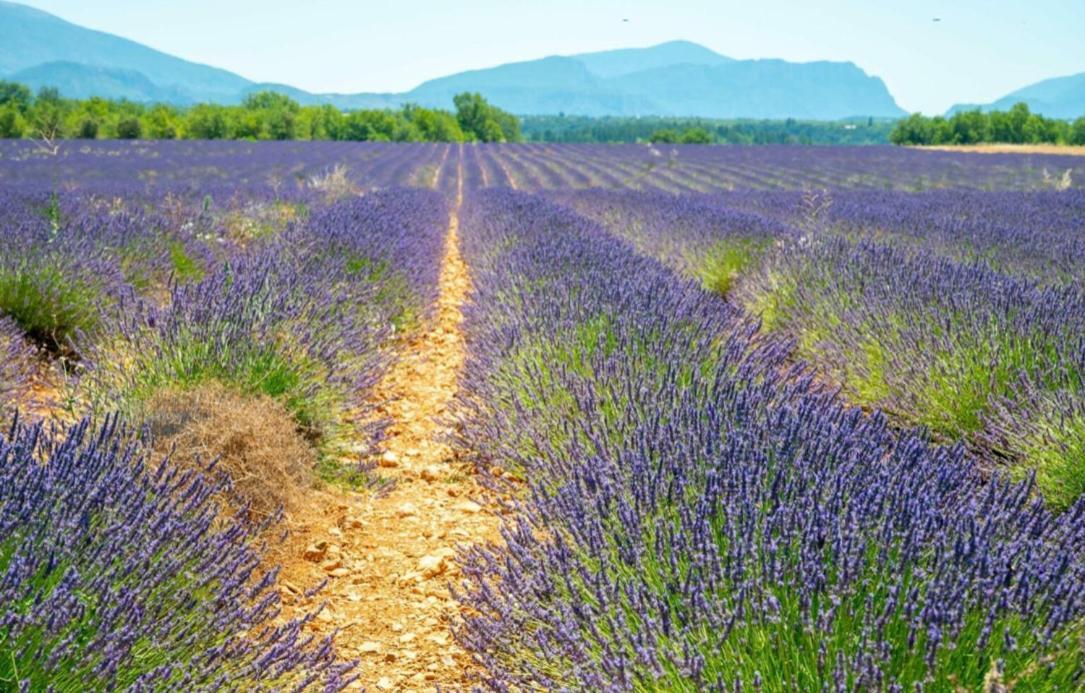 Fuvolea, Maison De Vacances A 15 Min Du Centre D'Aix-En-Provence, Piscine Chauffee En Saison - Jardin - Parking Prive Gratuit Fuveau Εξωτερικό φωτογραφία