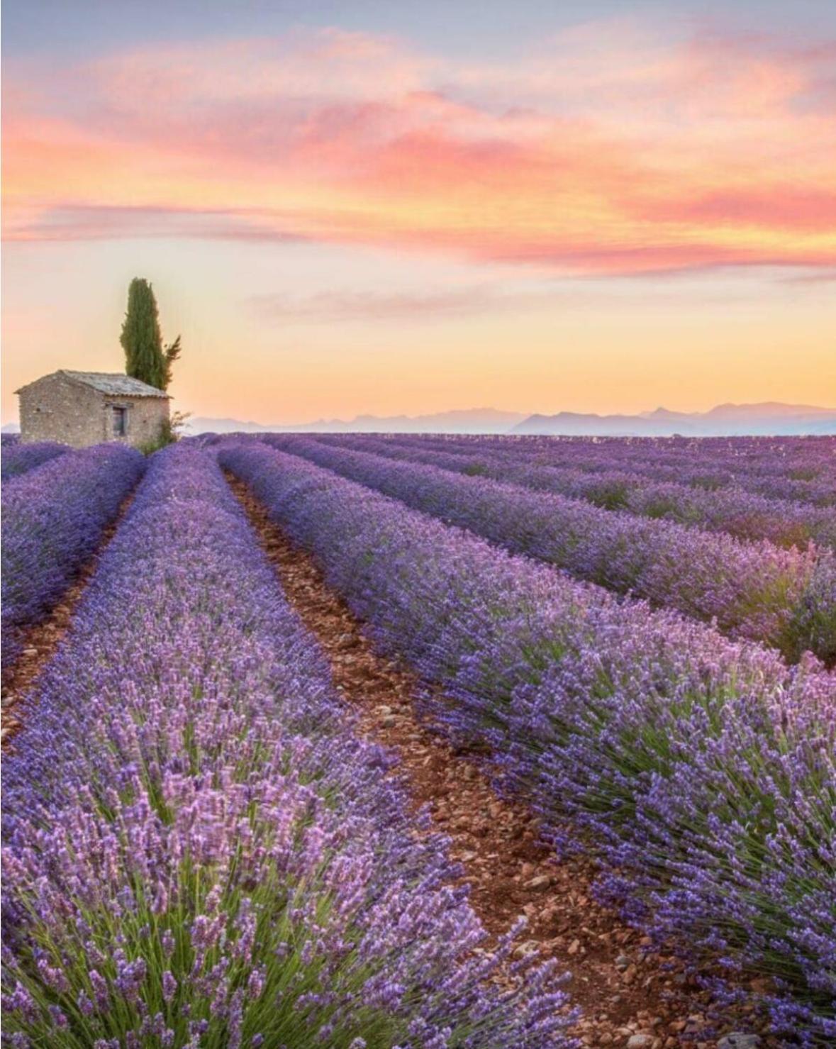 Fuvolea, Maison De Vacances A 15 Min Du Centre D'Aix-En-Provence, Piscine Chauffee En Saison - Jardin - Parking Prive Gratuit Fuveau Εξωτερικό φωτογραφία